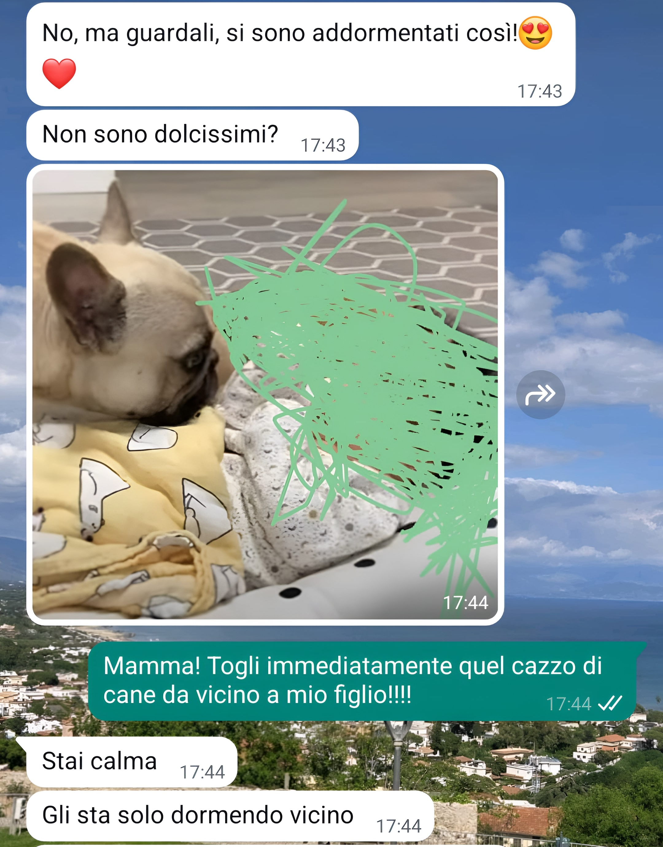 Cane o figlio?