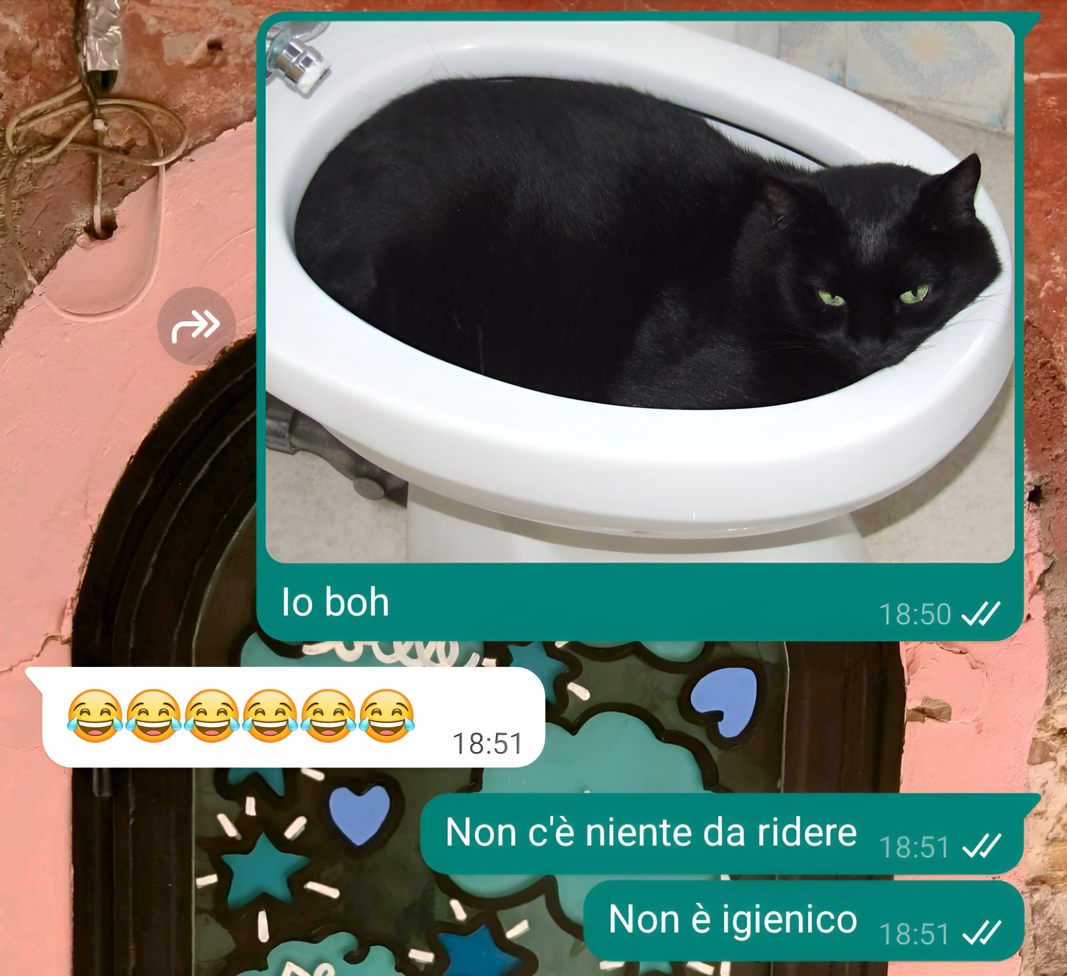Peli di gatto e lentiggini